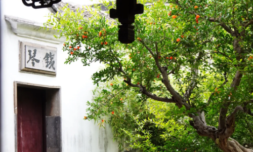 Qin Room-suzhou